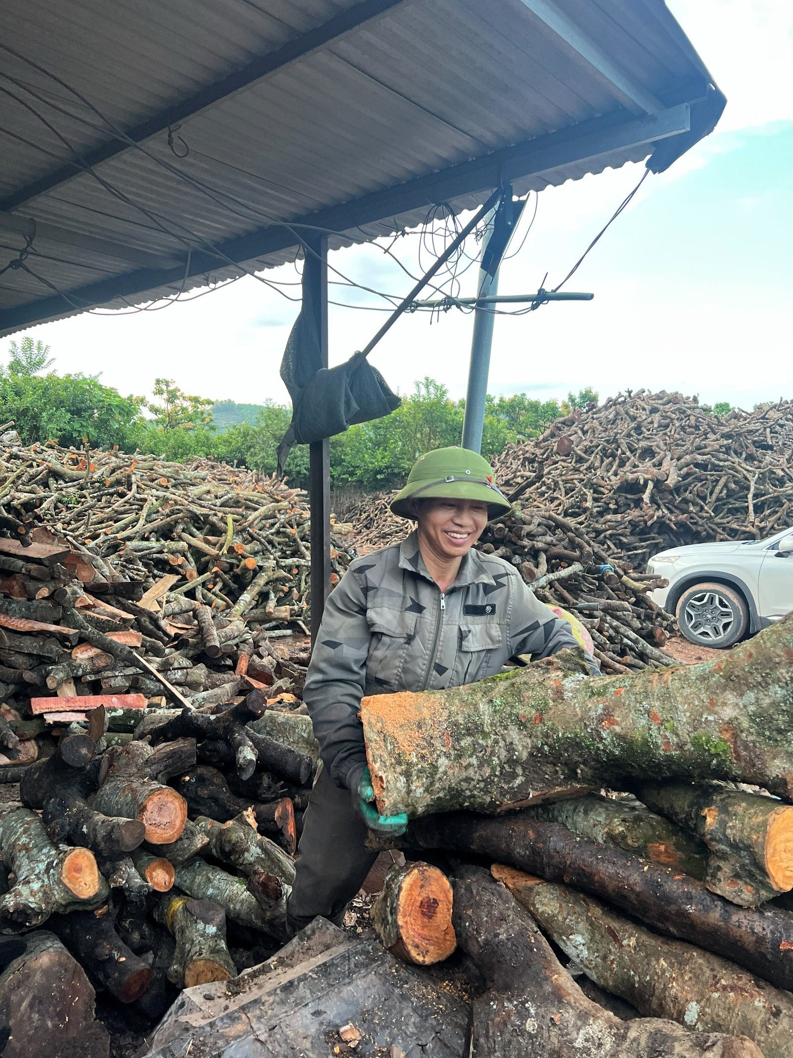 Producer steadying a seasoned hardwood log in the sourcing yard
